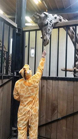 onesie giraffe